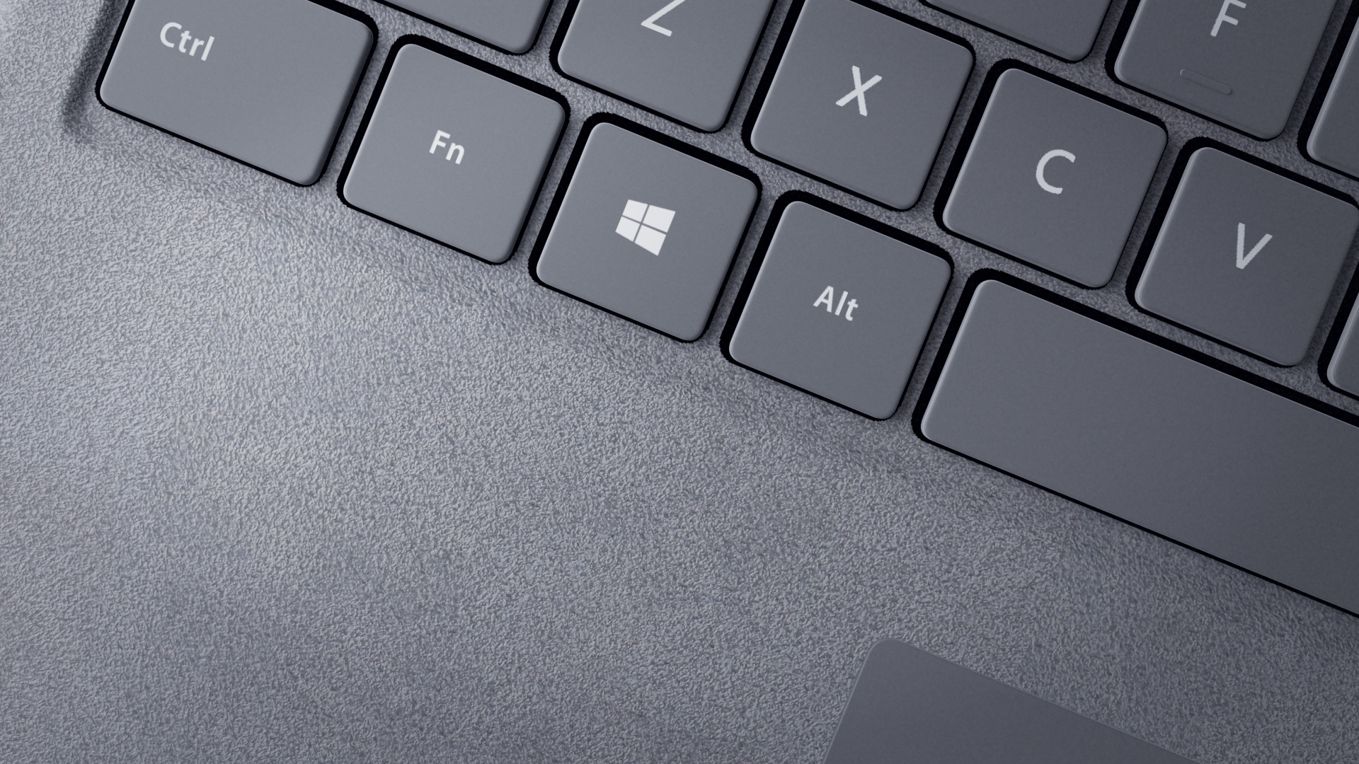 Microsoft - zdjęcie poziome